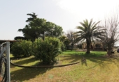 Detached villa with land for sale in Ciudad Real ref: TR389643 photo