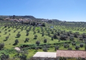 Casa de campo con terreno en venta en Alcaucín ref: TR389688 foto