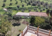 Casa de campo con terreno en venta en Alcaucín ref: TR389688 foto