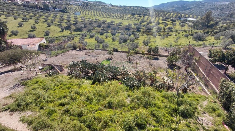 Málaga - Alcaucín - 1049m2