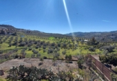 Casa de camp amb terreny en venda a Alcaucín ref.: TR389562 foto