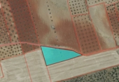Terreno no urbanizable en venta en la España, Torrenueva, ref: TR389662 foto