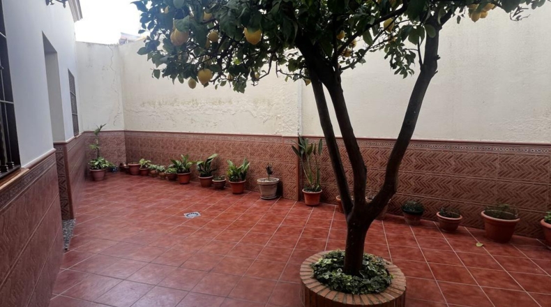 Sevilla - Alcalá de Guadaíra - 198m2
