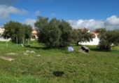 Sòl urbà en venda a Fregenal de la Sierra ref.: TR389676 foto