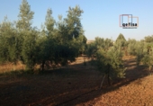 Xalet independent amb terreny en venda a Valdepeñas ref.: TR389627 foto
