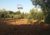 Xalet independent amb terreny en venda a Valdepeñas ref.: TR389627 foto