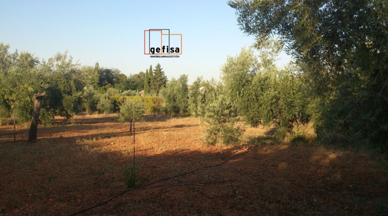 Ciudad Real - Valdepeñas - 6680m2