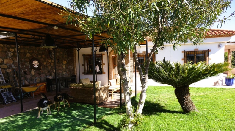 Granada - Órgiva - 2500m2