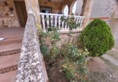 Detached villa with land for sale in Sisante ref: TR389630 photo