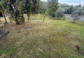 Finca rústica en venda a Urbanización Encinares de Alcolea ref.: TR389605 foto