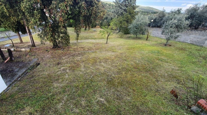 Córdoba - Alcolea - 2500m2
