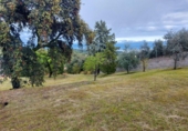 Finca rústica en venda a Urbanización Encinares de Alcolea ref.: TR389605 foto