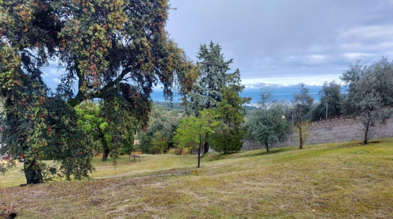 Córdoba - Alcolea - 2500m2