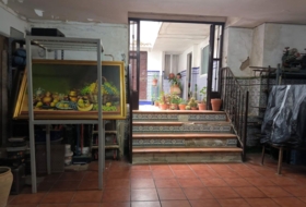Foto 18