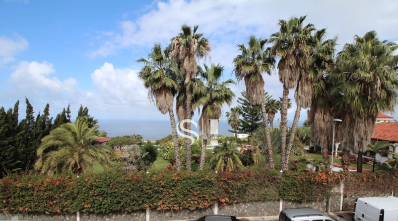 Santa Creu de Tenerife - Santa Úrsula - 5065m2