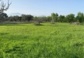 Terreno no urbanizable en venta en la Carretera Camino de los Bueyes, Alhaurín el Grande, ref: TR389713 foto