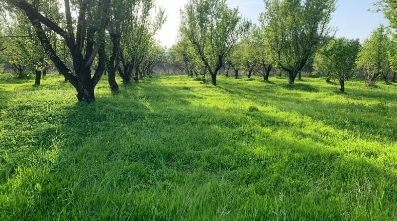 Málaga - Alhaurín el Grande - 18000m2