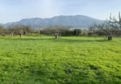 Terreno no urbanizable en venta en la Carretera Camino de los Bueyes, Alhaurín el Grande, ref: TR389713 foto