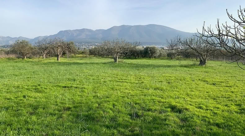 Málaga - Alhaurín el Grande - 18000m2
