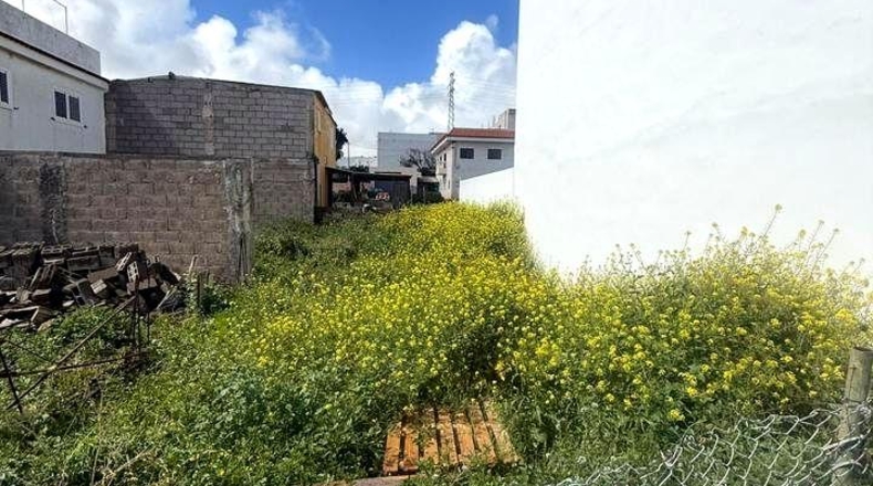 Santa Cruz de Tenerife - San Cristóbal de La Laguna - 121m2