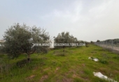 Terreno no urbanizable en venta en la España, Lucena, ref: TR390102 foto