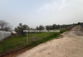 Terreno no urbanizable en venta en la España, Lucena, ref: TR390102 foto