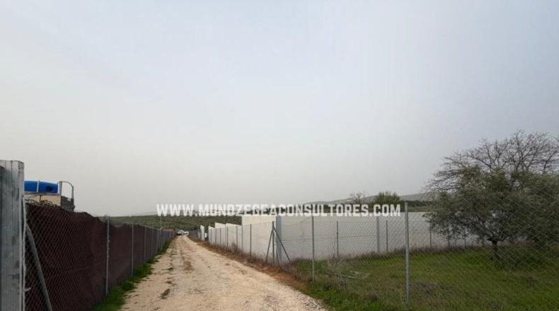 Córdoba - Лусена - 1400m2