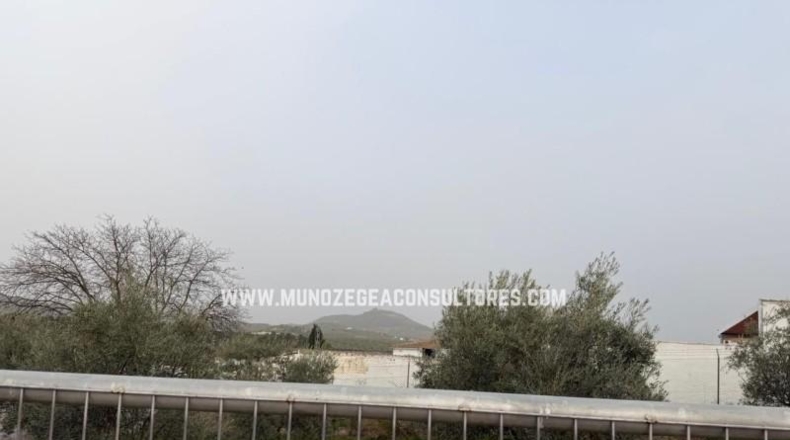 Córdoba - Лусена - 1400m2