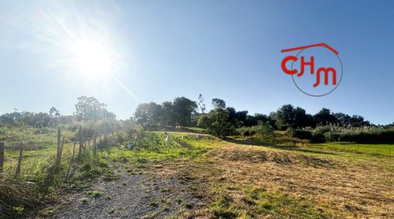 Cantabria - Bárcena de Cicero - 3373m2