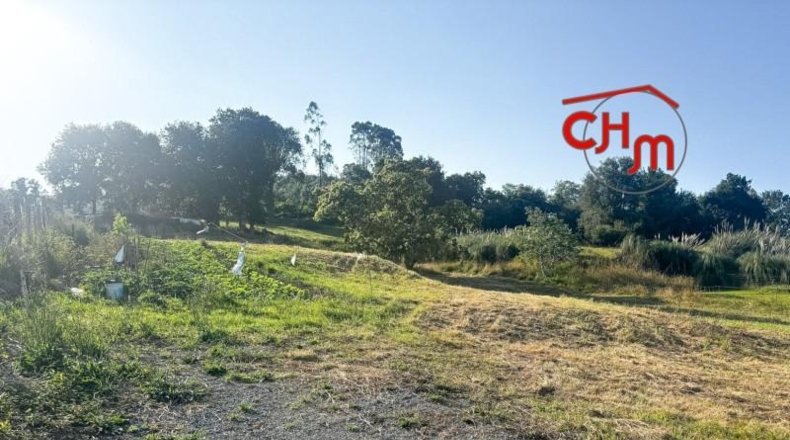 Cantabria - Bárcena de Cicero - 3373m2