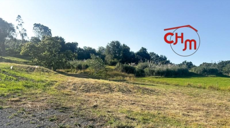 Cantabria - Bárcena de Cicero - 3373m2