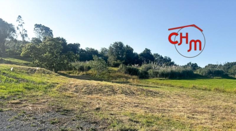Cantabria - Bárcena de Cicero - 3373m2