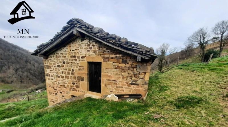Cantàbria - Vega de Pas - 11000m2