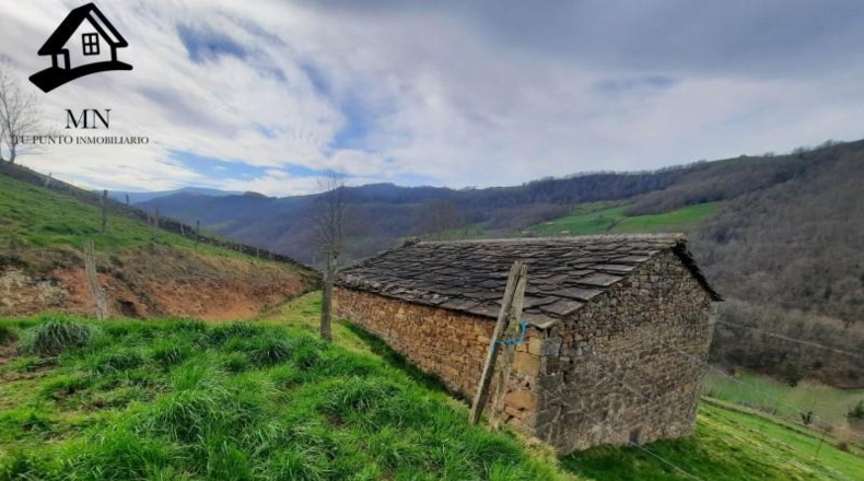 Cantàbria - Vega de Pas - 11000m2