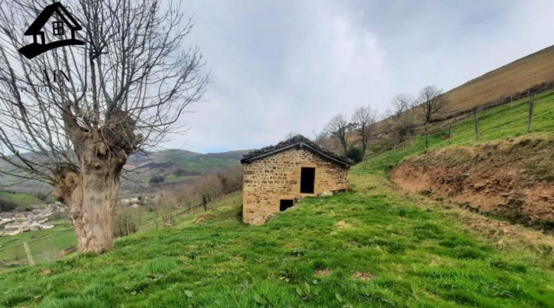 Cantàbria - Vega de Pas - 11000m2