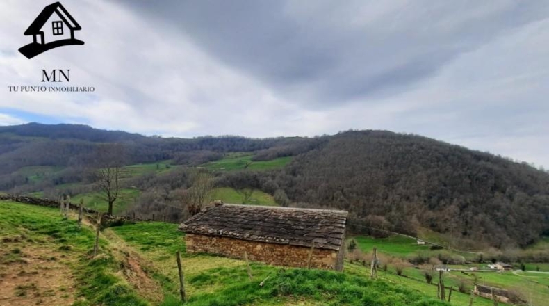 Cantàbria - Vega de Pas - 11000m2