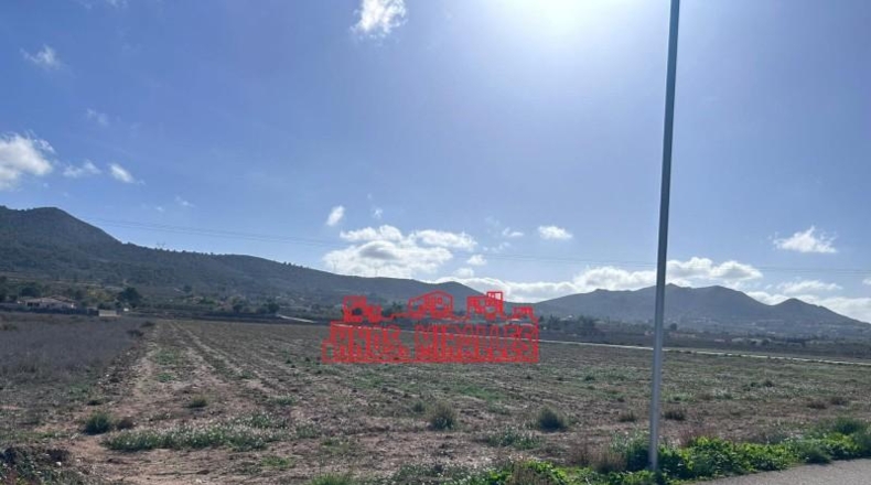 Alicante - Hondón de los Frailes - 24897m2