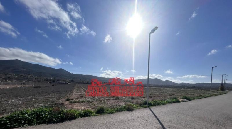 Alicante - Hondón de los Frailes - 24897m2
