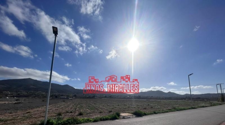 Alicante - Hondón de los Frailes - 24897m2