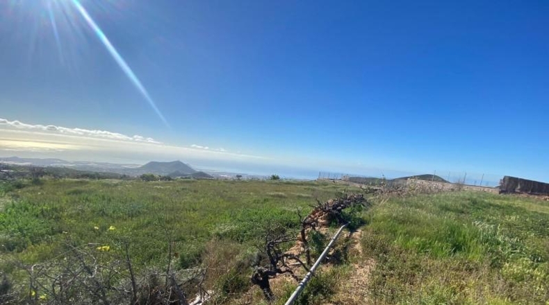 Santa Cruz de Tenerife - Granadilla de Abona - 7673m2