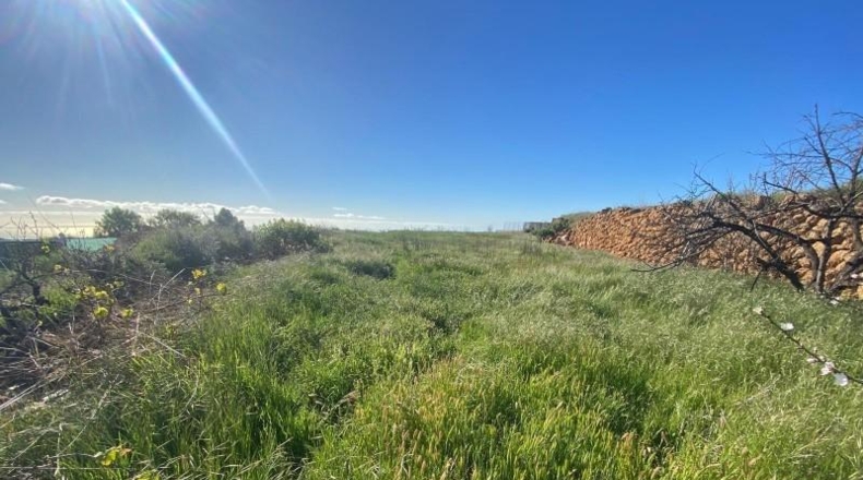 Santa Cruz de Tenerife - Granadilla de Abona - 7673m2