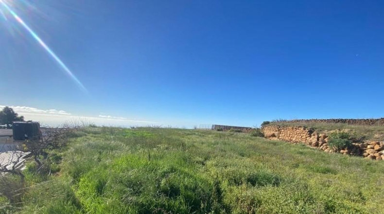 Santa Cruz de Tenerife - Granadilla de Abona - 7673m2