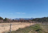 Chalet independiente con terreno en venta en la España, Cretas, ref: TR389908 foto