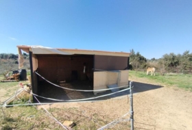Foto 14
