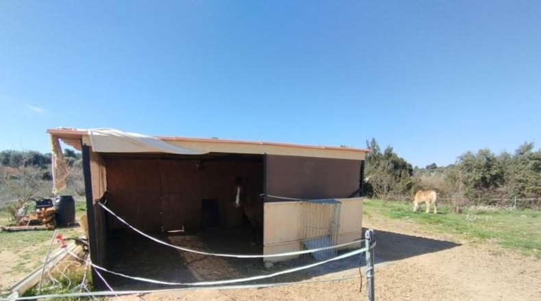 Teruel - Cretas - 26720m2