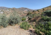 Terreno no urbanizable en venta en la España, Málaga, ref: TR390077 foto