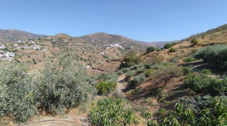 Малага - Periana - 14000m2