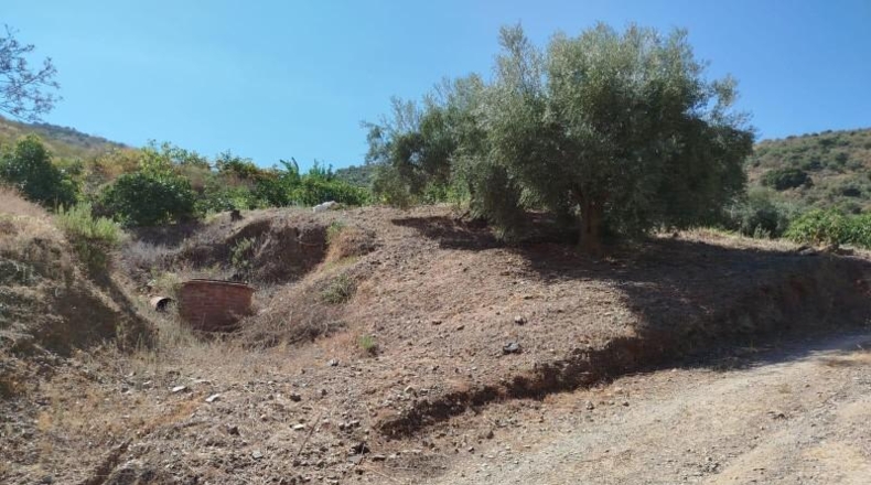 Малага - Periana - 14000m2