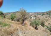 Terreno no urbanizable en venta en la España, Málaga, ref: TR390077 foto
