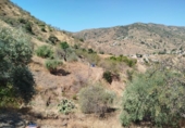 Terreno no urbanizable en venta en la España, Málaga, ref: TR390077 foto